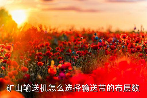 礦山傳送帶輸送機，煤礦常用的帶式輸送機主要有哪些