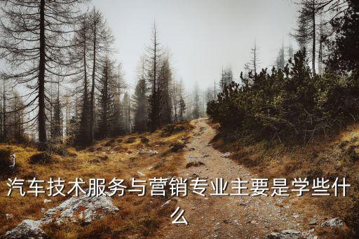 汽車技術(shù)服務(wù)與營(yíng)銷專業(yè)主要是學(xué)些什么
