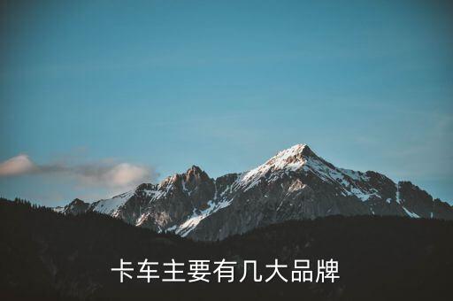中國(guó)自動(dòng)駕駛卡車品牌，中國(guó)最好的輕卡是什么品牌