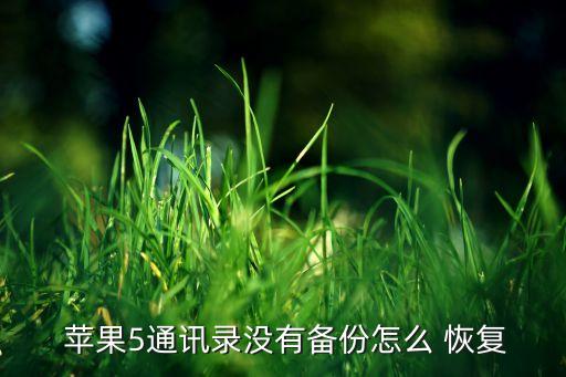 蘋(píng)果5怎么開(kāi)移動(dòng)數(shù)據(jù)恢復(fù),蘋(píng)果手機(jī)如何快速開(kāi)移動(dòng)數(shù)據(jù)恢復(fù)
