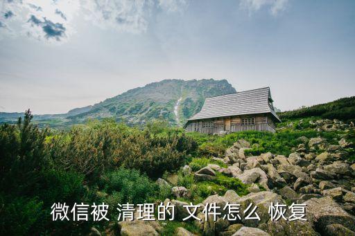 微信自動清理文件怎么恢復(fù)嗎,微信圖片已過期如何恢復(fù)?