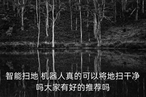 智能掃地 機(jī)器人真的可以將地掃干凈嗎大家有好的推薦嗎