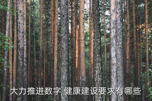 大力推進(jìn)數(shù)字 健康建設(shè)要求有哪些