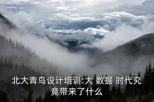 北大青鳥設(shè)計(jì)培訓(xùn):大 數(shù)據(jù) 時(shí)代究竟帶來了什么