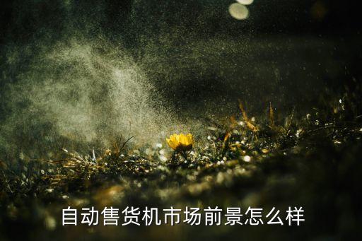 自動售賣機(jī)抓,成人用品自動售賣機(jī)