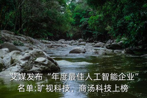  艾媒發(fā)布“年度最佳人工智能企業(yè)”名單:曠視科技、商湯科技上榜