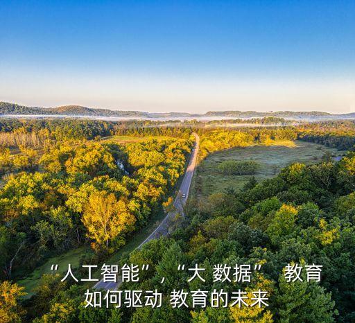 大數(shù)據(jù)時代 教育啟示