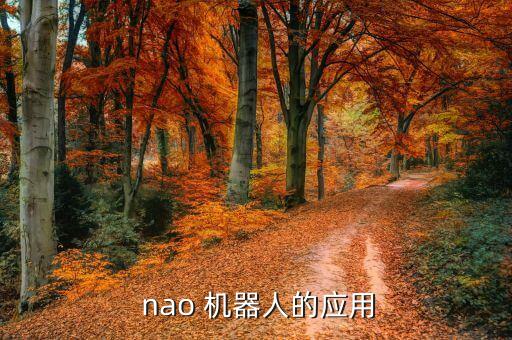 nao機(jī)器人會(huì)說(shuō)中文嗎