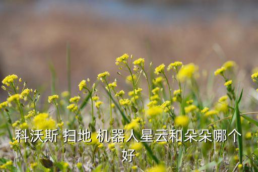 seebest掃地機(jī)器人怎樣