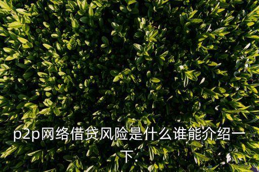 p2p網(wǎng)絡(luò)借貸風(fēng)險(xiǎn)是什么誰能介紹一下.