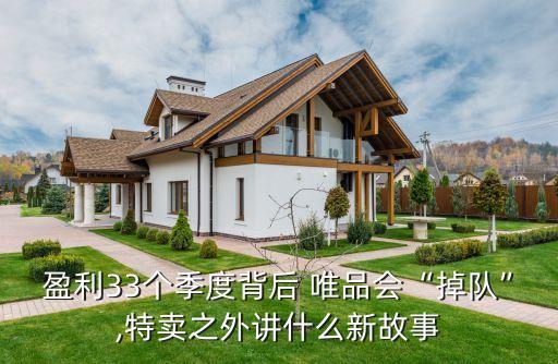 盈利33個季度背后 唯品會“掉隊(duì)”,特賣之外講什么新故事