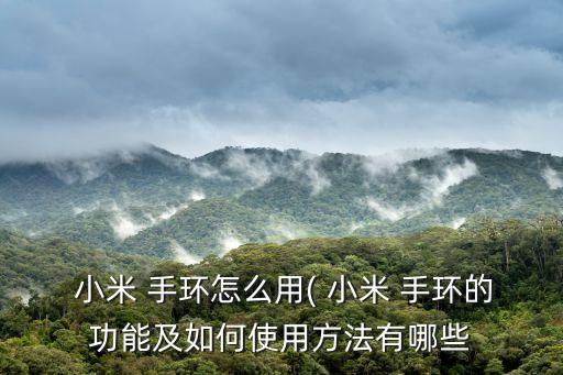 小米3手環(huán) 支持什么運(yùn)動(dòng)數(shù)據(jù),小米運(yùn)動(dòng)手環(huán)有什么功能?