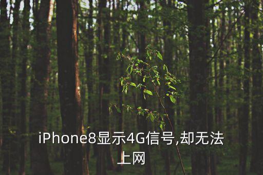 iPhone8顯示4G信號(hào),卻無法上網(wǎng)