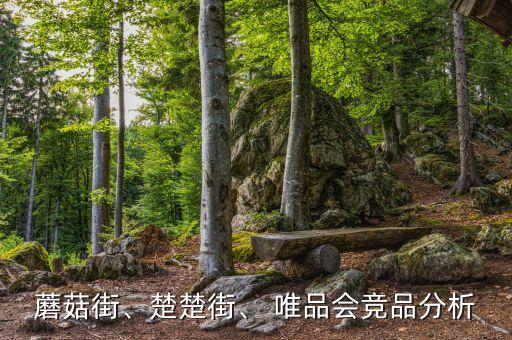 唯品會用戶數(shù)據(jù)