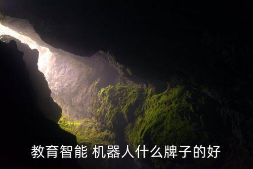 特奧機器人上央視,鋼琴機器人特奧簡介