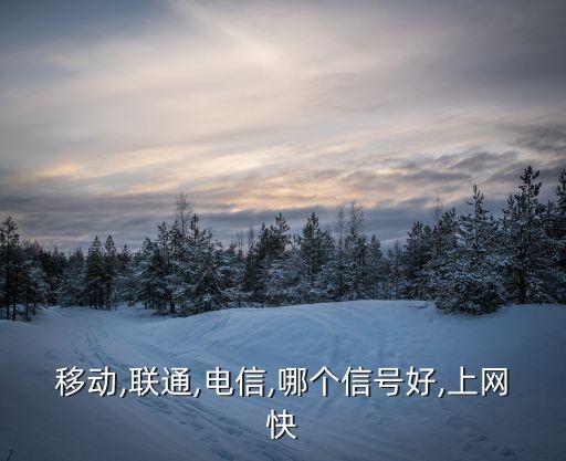 移動,聯(lián)通,電信,哪個信號好,上網(wǎng)快