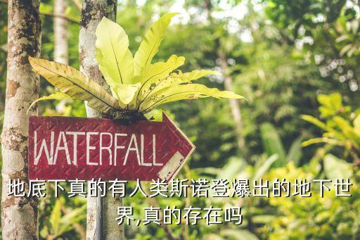 南極 極地機(jī)器人,南極第一個(gè)永久極地考察站