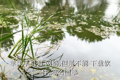 蘋果手機(jī)有 網(wǎng)絡(luò),但是不能 下載軟件,怎么回事