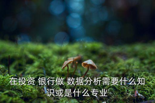 數(shù)據(jù)分析用于銀行風(fēng)險(xiǎn),銀行數(shù)據(jù)分析崗位一般做什么
