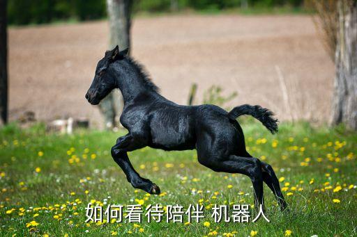 蛋蛋機器人是什么原因,蛋蛋一個大一個小是什么原因