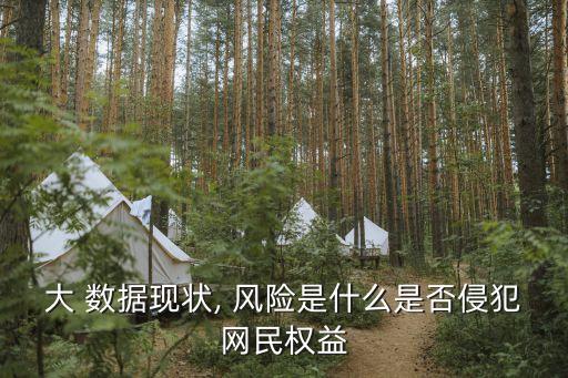 大 數(shù)據(jù)現(xiàn)狀, 風險是什么是否侵犯網(wǎng)民權益