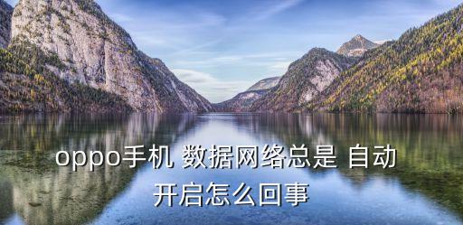 數(shù)據(jù)連接自動(dòng)開啟,開啟數(shù)據(jù)連接還是沒網(wǎng)是什么原因
