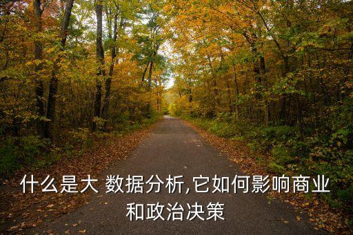 什么是大 數(shù)據(jù)分析,它如何影響商業(yè)和政治決策