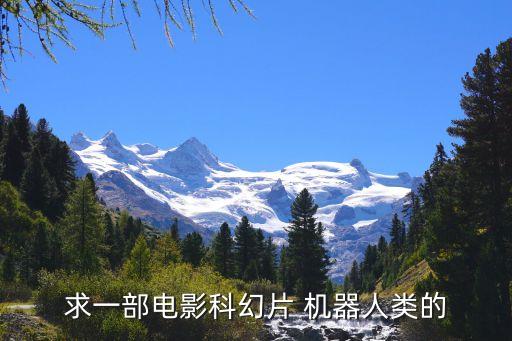 求一部電影科幻片 機器人類的