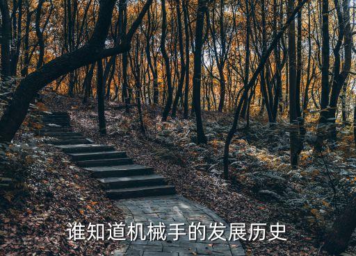 誰(shuí)知道機(jī)械手的發(fā)展歷史