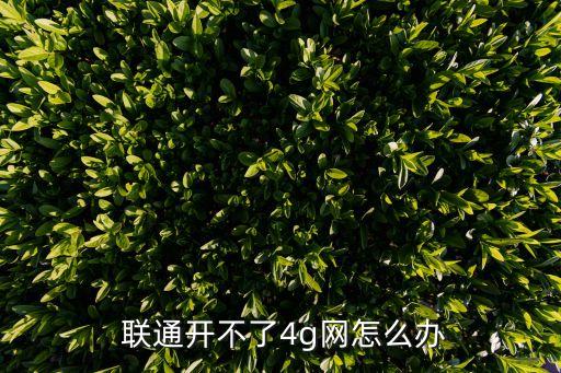 聯(lián)通數(shù)據(jù)網(wǎng)