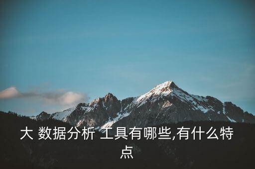 大 數(shù)據(jù)分析 工具有哪些,有什么特點(diǎn)