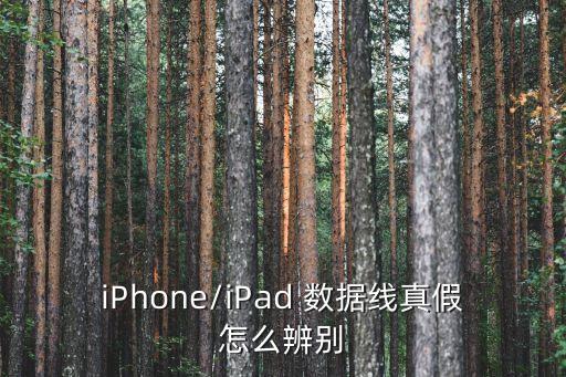 蘋(píng)果精仿數(shù)據(jù)線(xiàn),1:1精仿蘋(píng)果手機(jī)