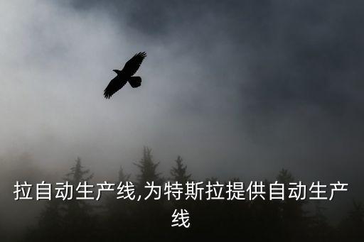 特斯拉自動(dòng)生產(chǎn)線,為特斯拉提供自動(dòng)生產(chǎn)線