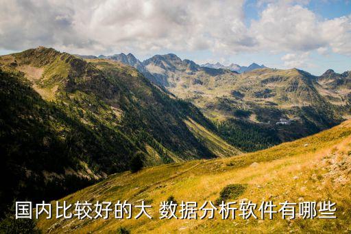 國內(nèi)比較好的大 數(shù)據(jù)分析軟件有哪些