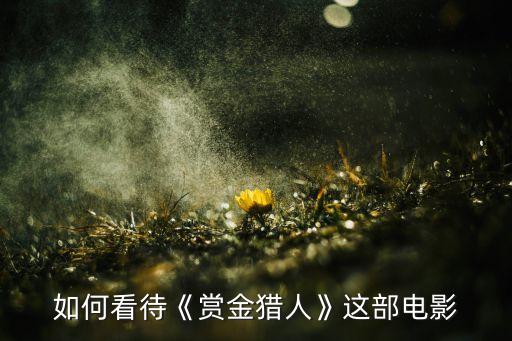 如何看待《賞金獵人》這部電影