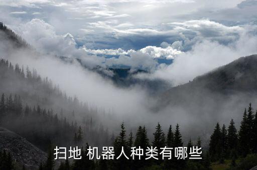 超市里用的機(jī)器人,超市機(jī)器人服務(wù)員