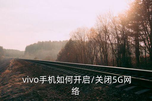  vivo手機(jī)如何開啟/關(guān)閉5G網(wǎng)絡(luò)
