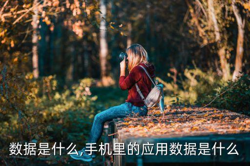 數據是什么,手機里的應用數據是什么