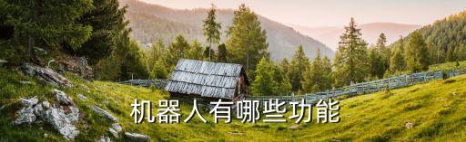 機(jī)器人用途及好處,納米技術(shù)機(jī)器人有什么用途