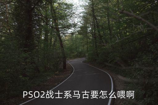 pso2機(jī)器人