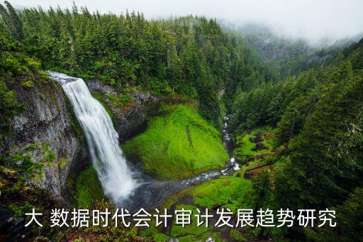 大 數(shù)據(jù)時(shí)代會(huì)計(jì)審計(jì)發(fā)展趨勢(shì)研究