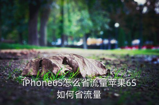iPhone6S怎么省流量蘋果6S如何省流量