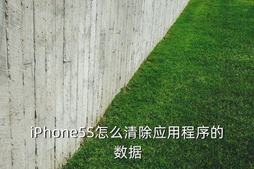 iPhone5S怎么清除應用程序的 數(shù)據(jù)