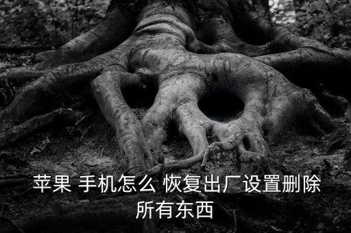  蘋果 手機怎么 恢復出廠設(shè)置刪除所有東西