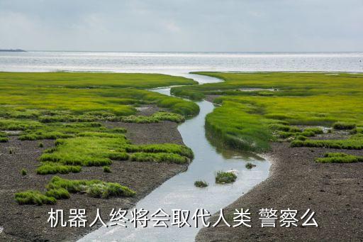 訂購(gòu)警察機(jī)器人,警察繩索變形機(jī)器人