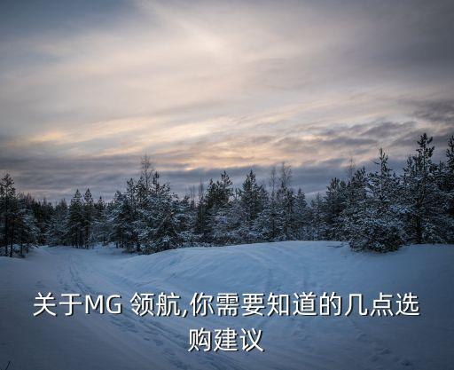 領(lǐng)航尊享版機(jī)器人,BD機(jī)器人尊享版