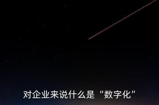 數(shù)據(jù)化是什么