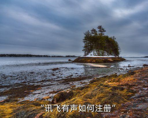 訊飛自動(dòng)輸入驗(yàn)證碼,訊飛怎么自動(dòng)填充驗(yàn)證碼