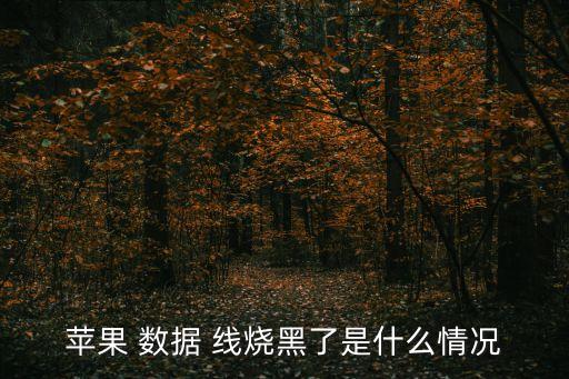 蘋果 數(shù)據(jù) 線燒黑了是什么情況