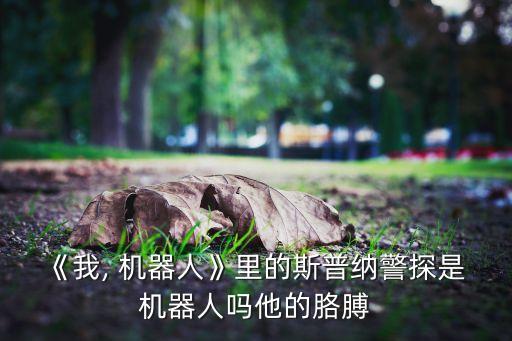 機器人里面有人嗎,所有機器人都必須有人的外形